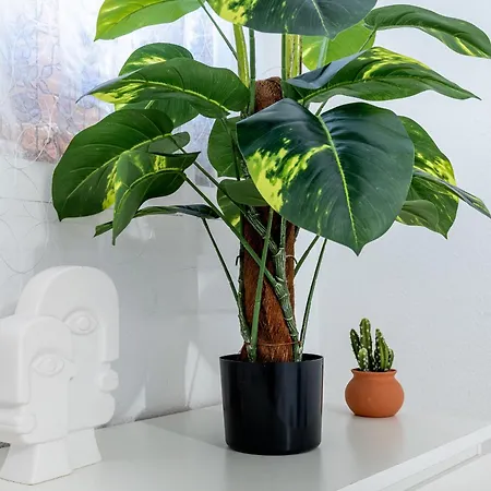 32 Bright Copacabana Ocean View Free Wifi * Costa Adeje (Tenerife)